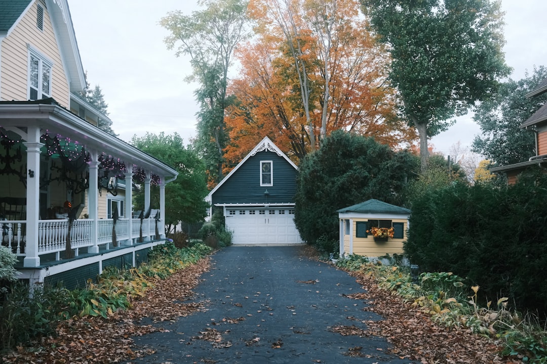 A driveway leading to a home surrounded by autumn trees in St. Clair County